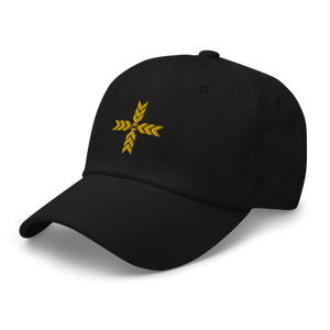 THE PEOPLES ARMY Dad hat